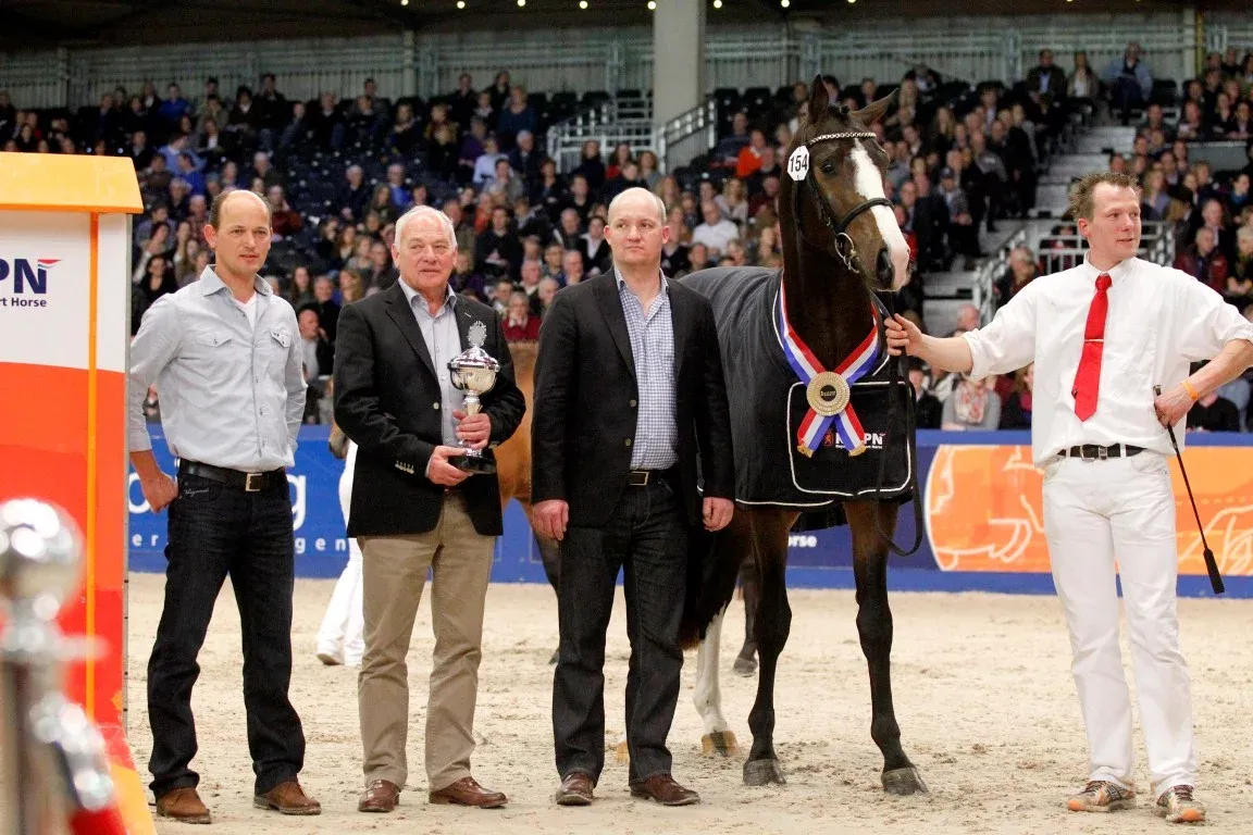 Springkampioen-Emmerton-x-Chin-Chin-Medium.jpg.webp