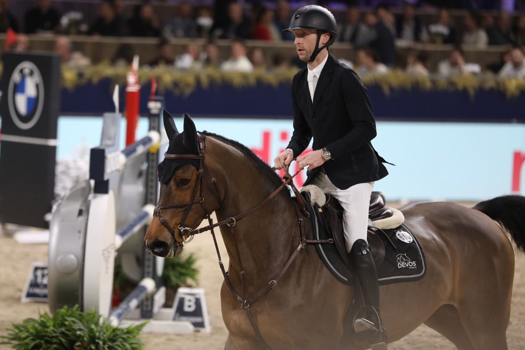 Opkomende Jonge Merries op het Hoogste Niveau - Nieuws - Hippomundo