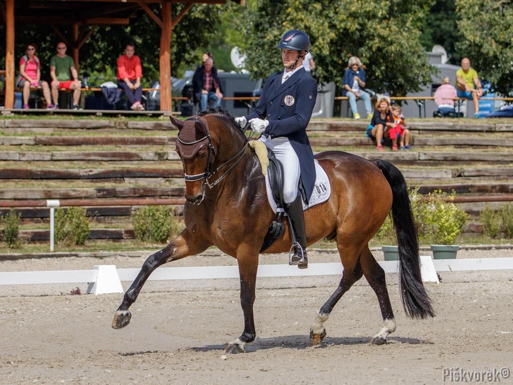Österreichs erfolgreichste Dressurreiter - Nachrichten - Hippomundo