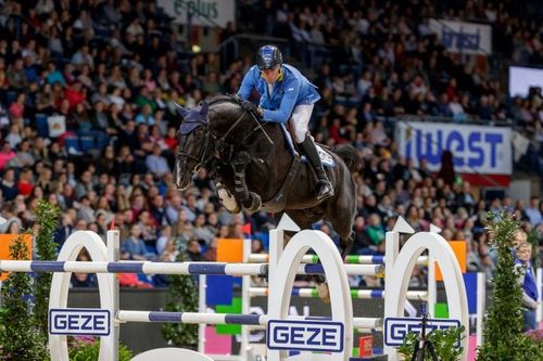 Dominator 2000 Z available with fresh semen! - News - Hippomundo